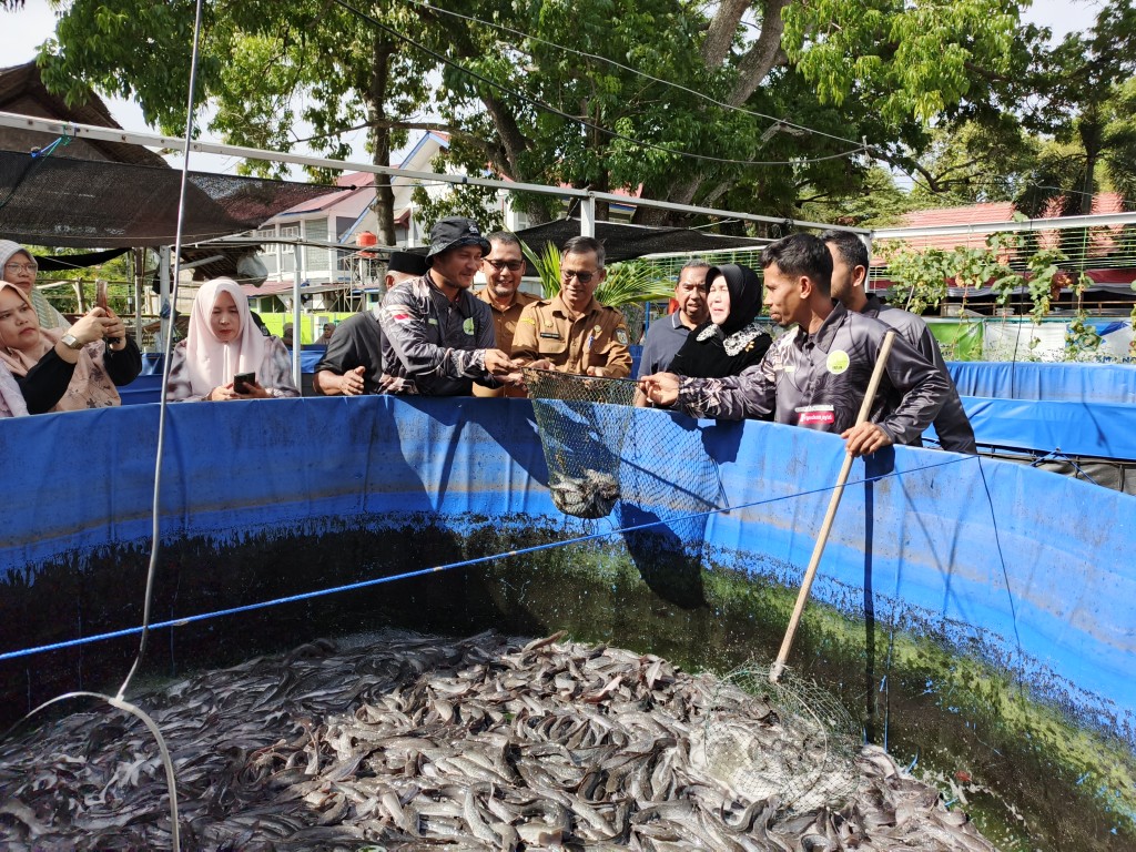 Budidaya Ikan Nila dan Lele Gampong Geuceu Komplek